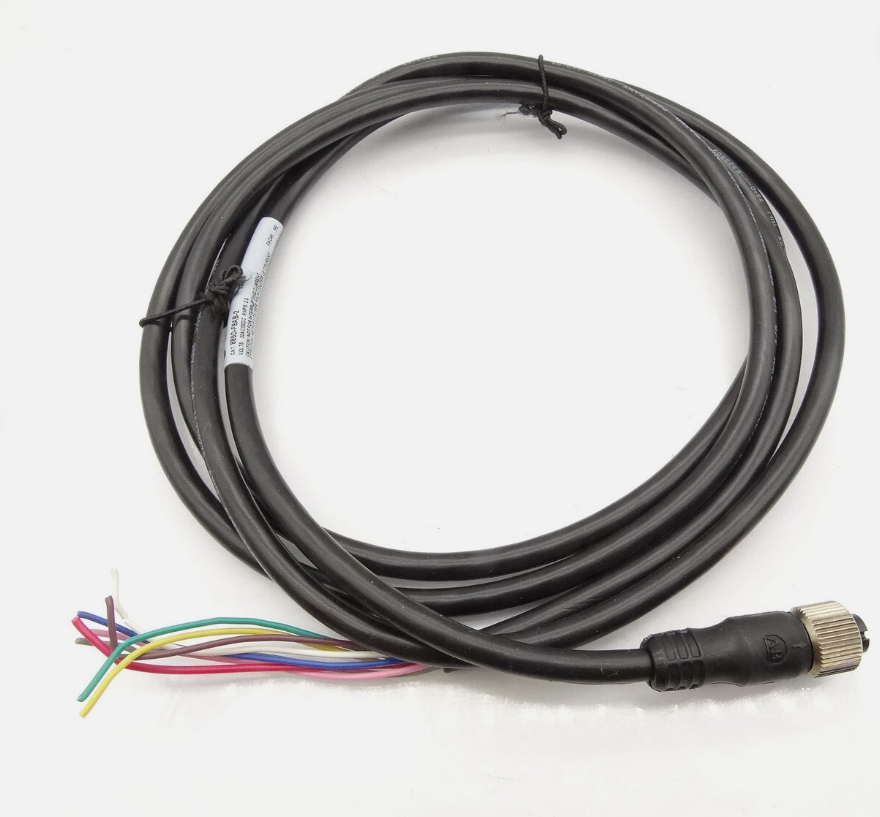 889D-F8AB-2 Allen-Bradley DC Micro Cable 8 Pin Female Straight Cable